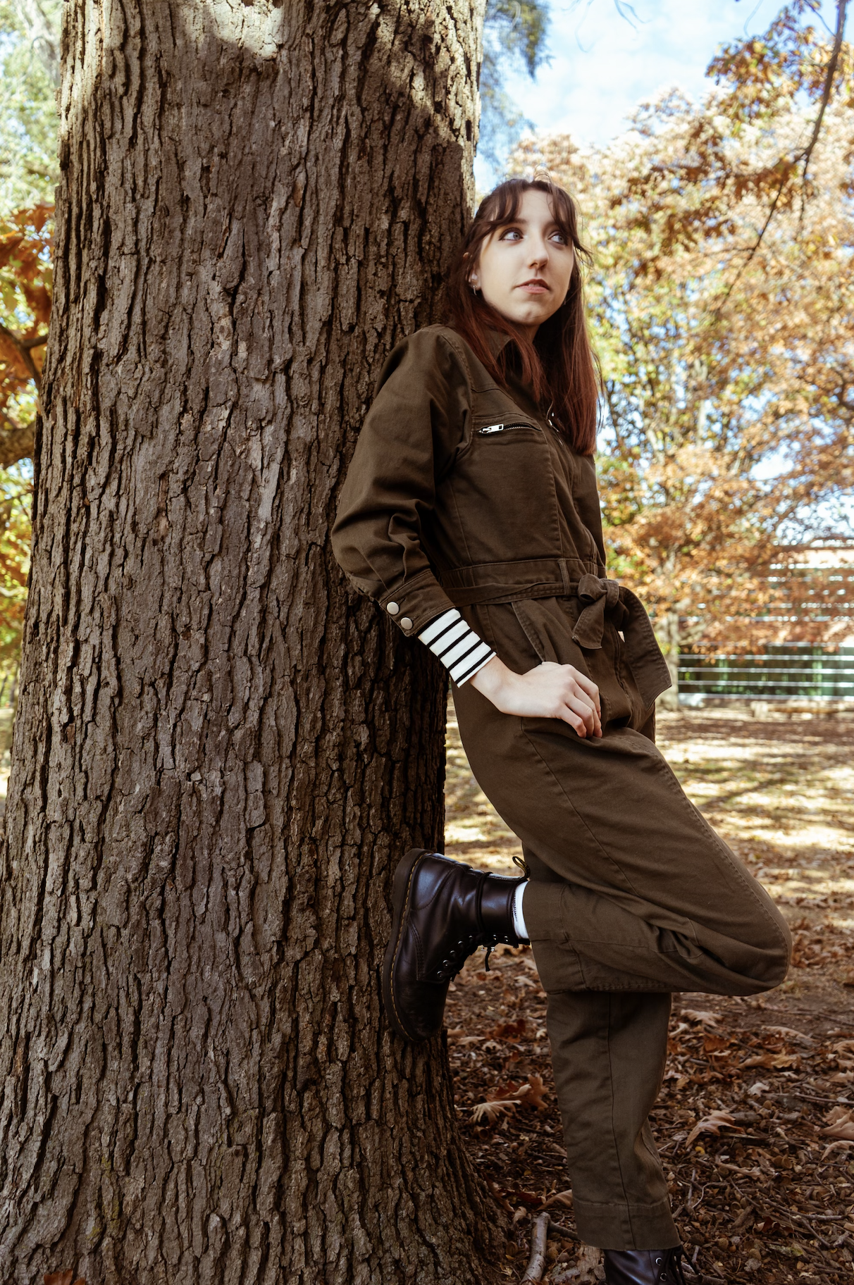 a photo of Cat by a tree